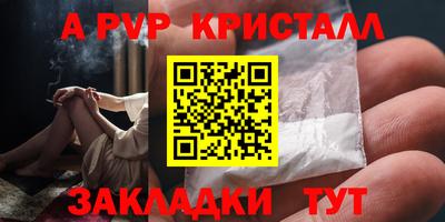 дмт Ставрополь