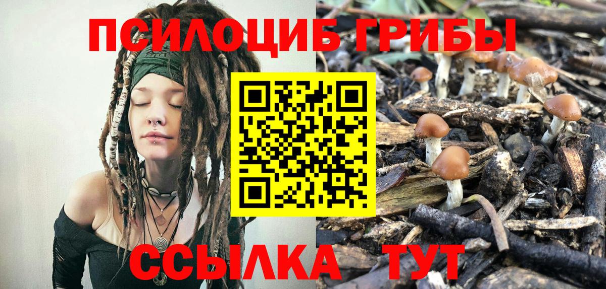 Псилоцибиновые грибы Psilocybe  сколько стоит  Нижнекамск  Вход с VPN  Псилоцибиновые грибы Cubensis 