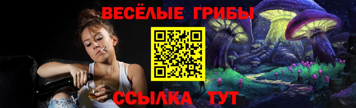Псилоцибиновые грибы Psilocybe Нижнекамск